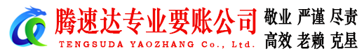 惠民清债公司